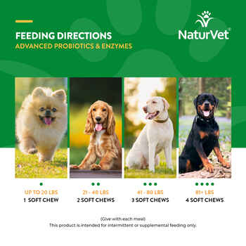 NaturVet Advanced Probiotics and Enzymes Plus Vet Strength PB6 Probiotic Supplement for Dogs - 70 ct Soft Chews