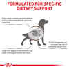 Royal Canin Veterinary Diet Canine Gastrointestinal Dry Dog Food - 8.8 lb Bag