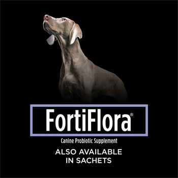 Purina Pro Plan Veterinary Supplements FortiFlora Chewable Dog Probiotic Supplement Tablets - 45 ct Bottle