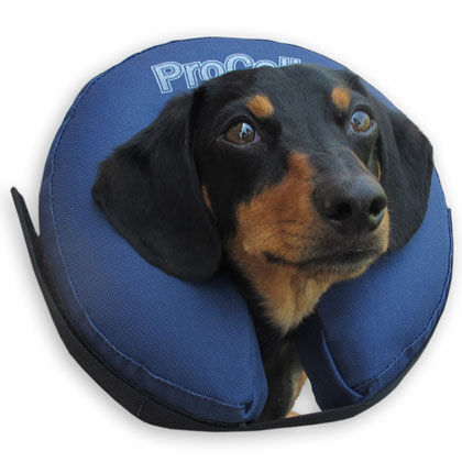 The procollar premium protective sales collar