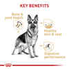Royal Canin Breed Health Nutrition German Shepherd Adult Dry Dog Food - 17 lb Bag