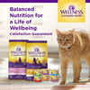 Wellness Complete Health Natural Indoor Deboned Chicken & Chicken Meal Recipe Dry Cat Food - 5 lb Bag