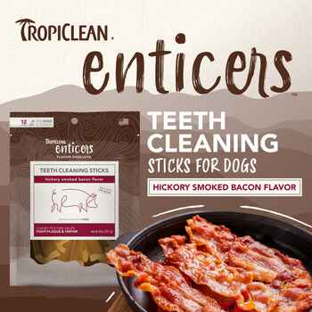 Tropiclean Enticers Teeth Cleaning Sticks For Dog Hickory/Bacon -12ct