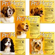 ProMeris for Dogs - Flea Control Treatment - 1800PetMeds