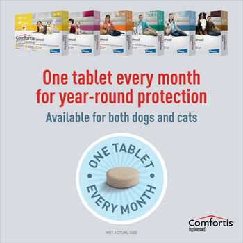 Comfortis For Dogs Cats Fast Free Shipping 1800petmeds Category Uuid 4387bddec3425dd761