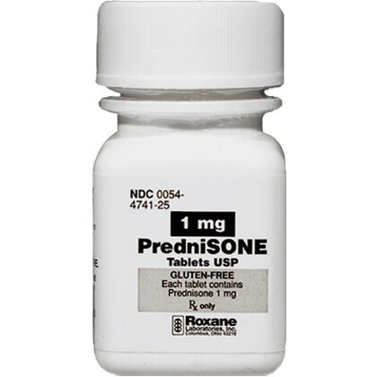 Prednisone 20mg for hot sale dogs