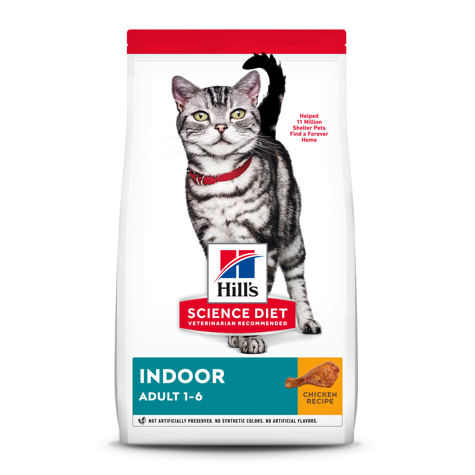 Hill's science diet dry kitten food hotsell