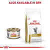 Royal Canin Veterinary Diet Feline Urinary SO Morsels In Gravy Wet Cat Food - 3 oz Cans - Case of 24