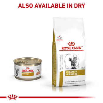 Royal Canin Veterinary Diet Feline Urinary SO Morsels In Gravy Wet Cat Food - 3 oz Cans - Case of 24