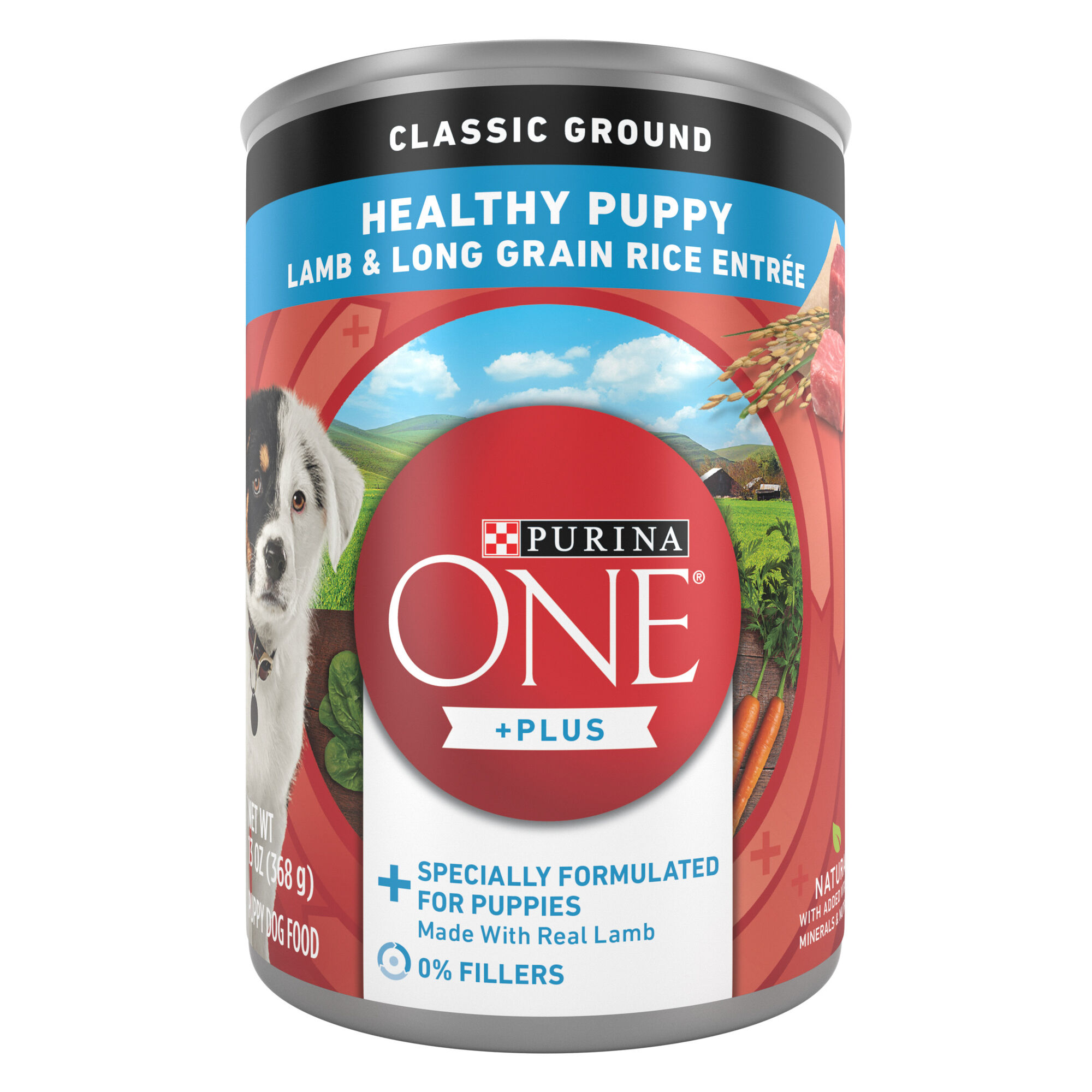 Purina dog hot sale food canned