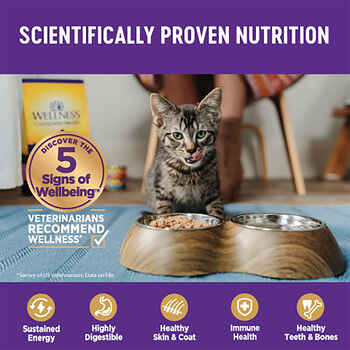 Wellness Complete Health Natural Grain Free Turkey & Salmon Entree Pate Wet Cat Food - 3 oz Cans - Case of 24