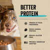 Vital Essentials Freeze Dried Raw Beef Bites Dog Treats 2.5 oz Bag