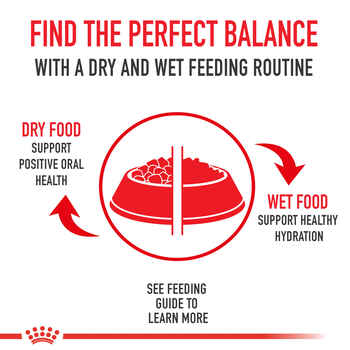 Royal Canin Veterinary Diet Canine Renal Support D Thin Slices in Gravy Wet Dog Food - 13 oz Cans - Case of 24