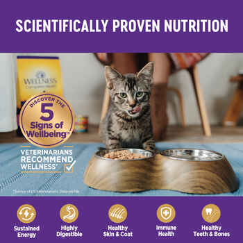 Wellness Complete Health Natural Grain Free Chicken Entree Pate Wet Cat Food - 3 oz Cans - Case of 24