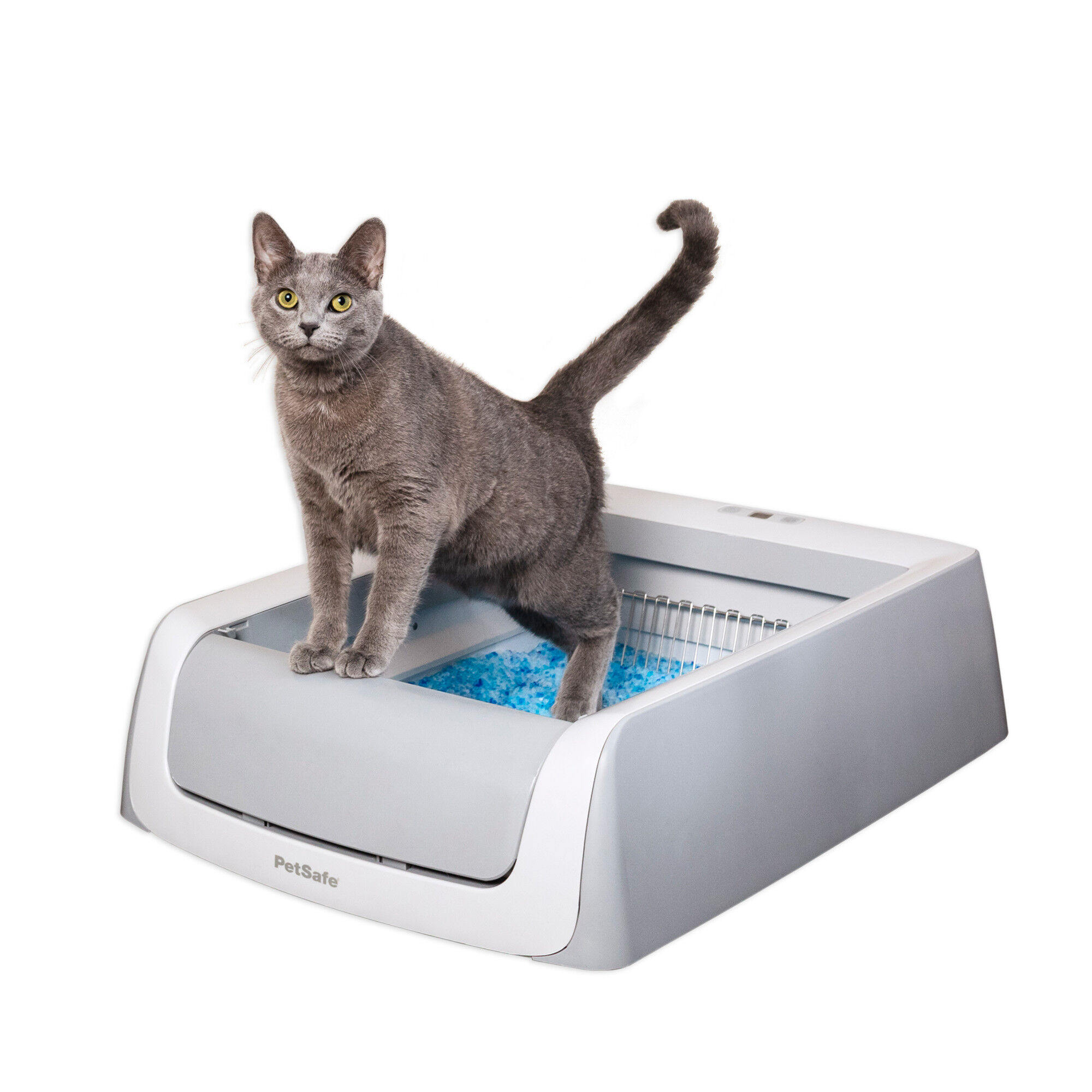 Petsmart litter boxes for cheap cats