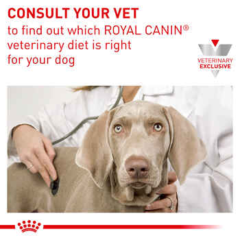 Royal Canin Veterinary Diet Canine Gastrointestinal Low Fat Loaf Wet Dog Food - 13.5 oz Cans - Case of 12