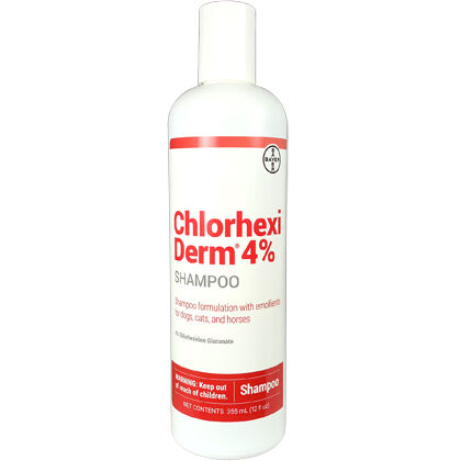 Chlorhexidine 4 shampoo best sale