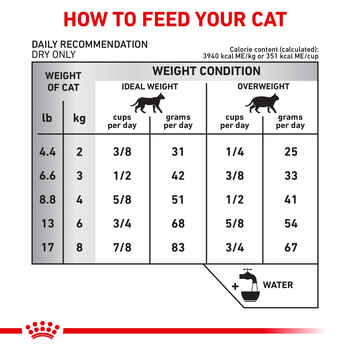 Royal Canin Veterinary Diet Feline Hydrolyzed Protein HP Dry Cat Food - 7.7 lb Bag