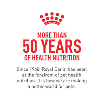 Royal Canin Breed Health Nutrition Golden Retriever Adult Dry Dog Food - 17 lb Bag