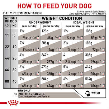 Royal Canin Veterinary Diet Canine Gastrointestinal Low Fat Dry Dog Food - 6.6 lb Bag