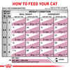 Royal Canin Veterinary Diet Feline Renal Support Early Consult Dry Cat Food - 12 oz Bag