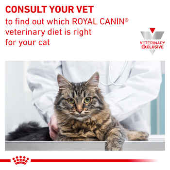 Royal Canin Veterinary Diet Feline Urinary SO Dry Cat Food - 7.7 lb Bag