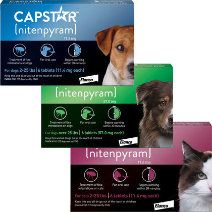 capstar safe for puppies