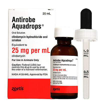 Antirobe for clearance dogs ear infection