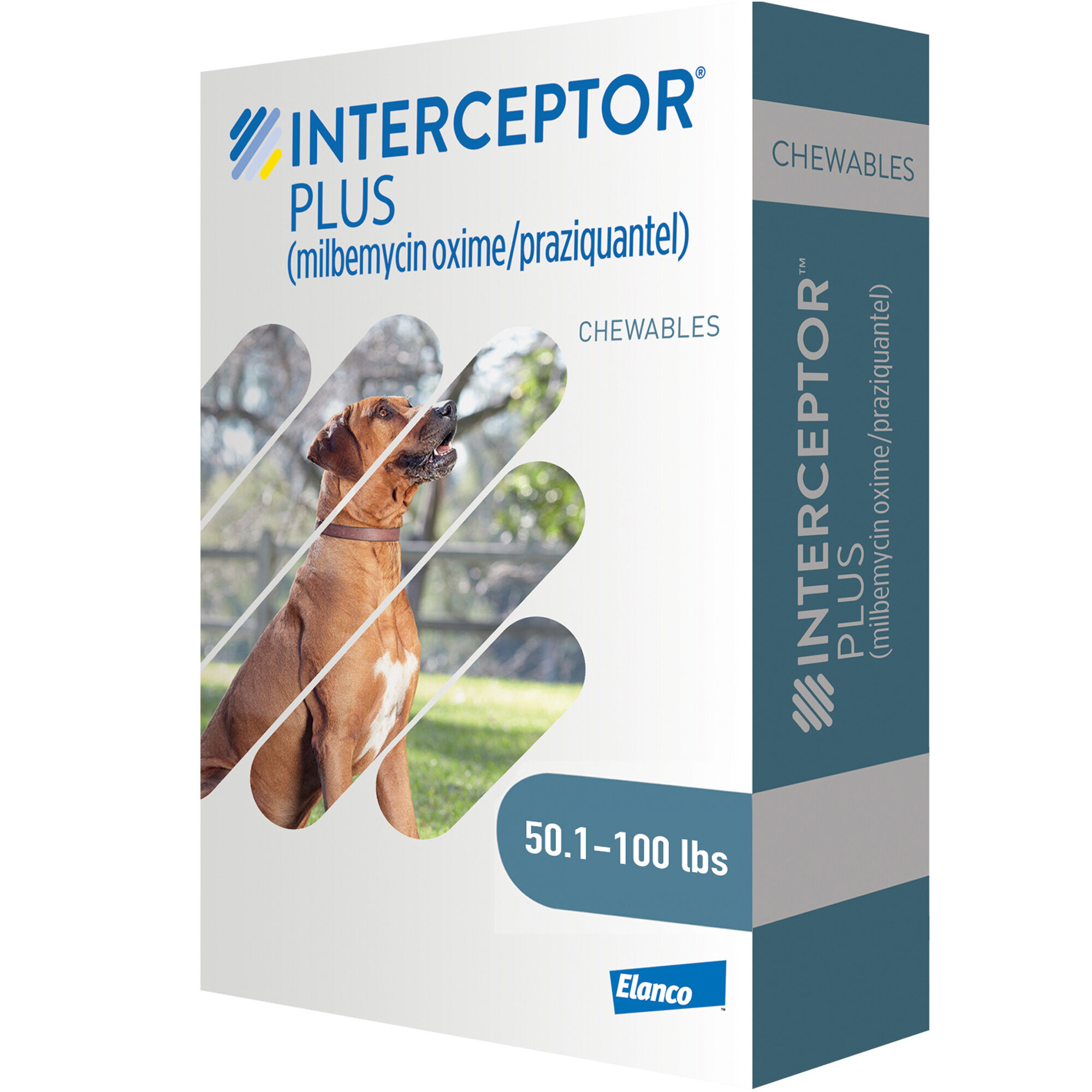 Interceptor plus blue cheap for dogs