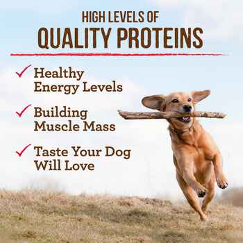 Merrick Grain Free Healthy Weight Recipe Dry Dog Food 22-lb