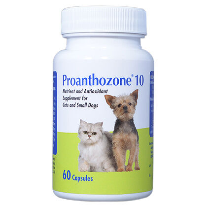 Antioxidant supplements hotsell for dogs