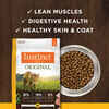 Instinct Original Grain Free Recipe with Real Chicken Natural Dry Cat Food 5 lb Bag