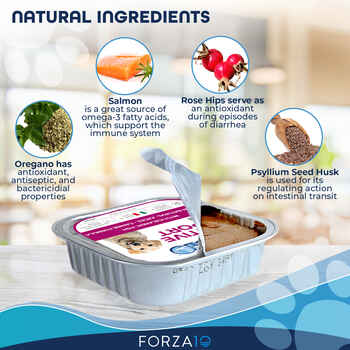 Forza10 Nutraceutic ActiWet Digestive Support Icelandic Fish Recipe Wet Dog Food 3.5 oz Trays - Case of 32
