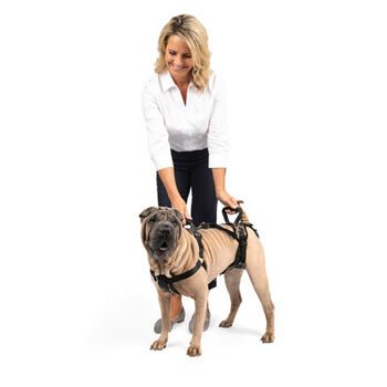 Full Body Dog Lifting Harness 1800petmeds Category Uuid A81b29a3dfb280adde5a