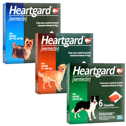 heartgard without vet