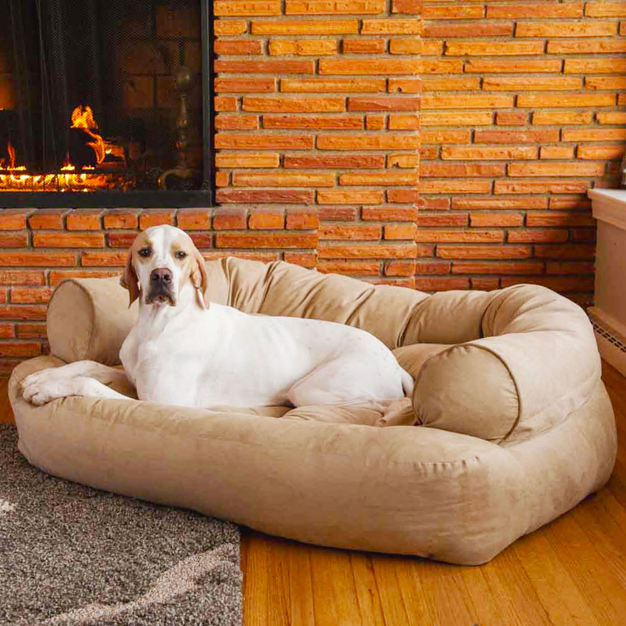 Overstuffed luxury dog sofa best sale