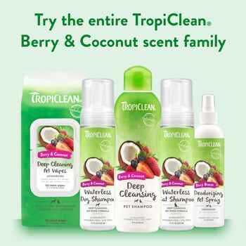 Tropiclean Berry Coconut Shampoo 20 oz