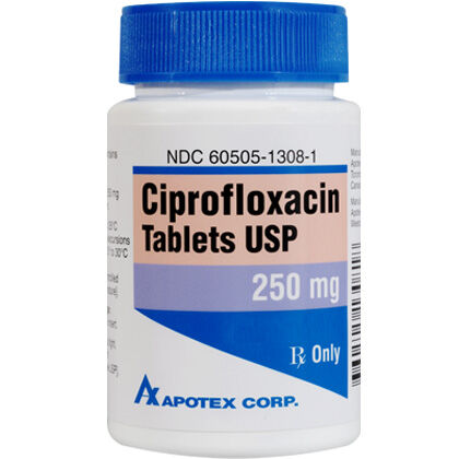 Ciprofloxacin for ear infection in sale dogs