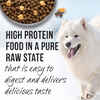 Merrick Backcountry Raw Infused Grain Free Puppy Dry Dog Food 10-lb