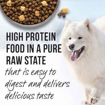 Merrick Backcountry Raw Infused Grain Free Puppy Dry Dog Food 10-lb