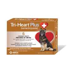 Tri-Heart Plus 6pk Brown 51-100 lbs-product-tile