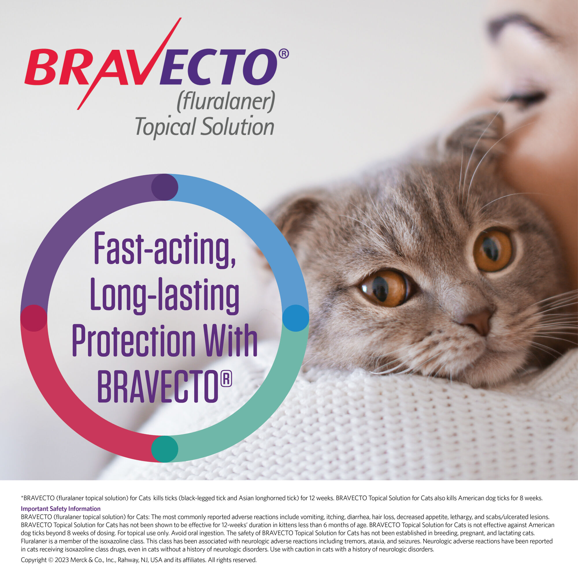 Bravecto sale cats price