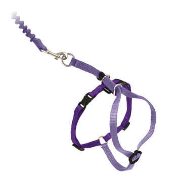 PetSafe Come With Me Kitty Cat Harness & Bungee Leash - Small - Lilac/Deep Purple product detail number 1.0