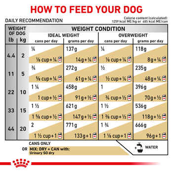 Royal Canin Veterinary Diet Canine Urinary SO Moderate Calorie Thin Slices in Gravy Wet Dog Food - 12.5 oz Cans - Case of 12