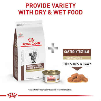 Royal Canin Veterinary Diet Feline Gastrointestinal Fiber Response Dry Cat Food - 8.8 lb Bag