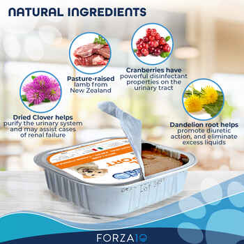 Forza10 Nutraceutic ActiWet Renal Support Lamb Recipe Wet Dog Food 3.5 oz Trays - Case of 32