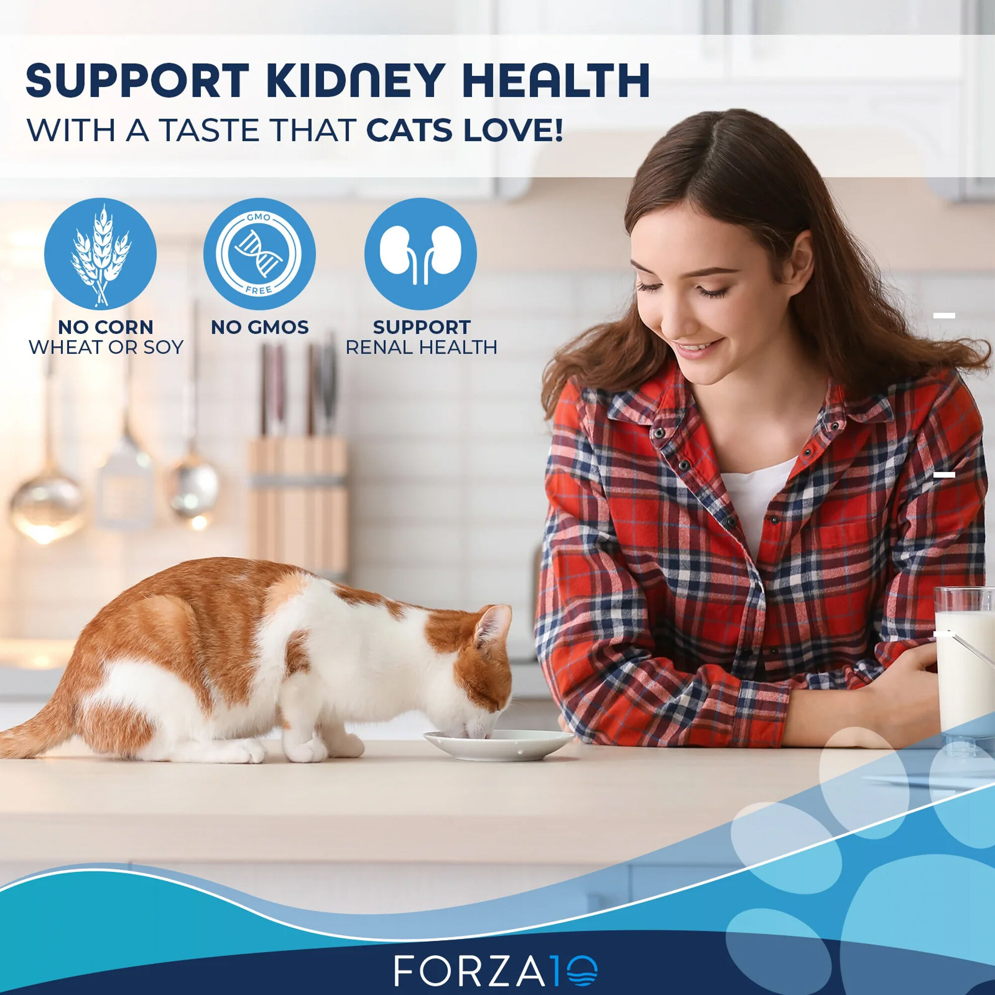 Forza10 Nutraceutic Active Kidney Renal Support Diet Dry Cat Food