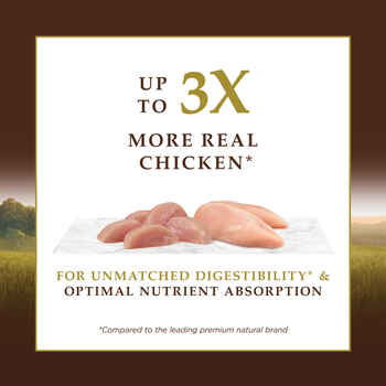 Instinct Ultimate Protein Adult Grain Free Cage Free Chicken Recipe Natural Dry Cat Food 4-lb