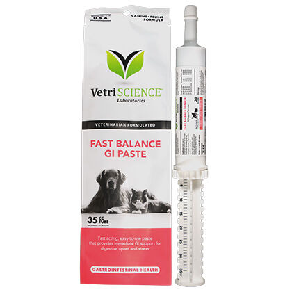 Dog anti hot sale nausea meds