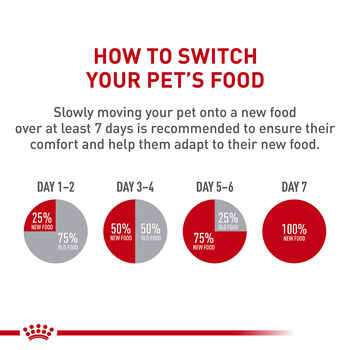 Royal Canin Veterinary Diet Feline Gastrointestinal Cat Treats - 7.7 oz Pouch